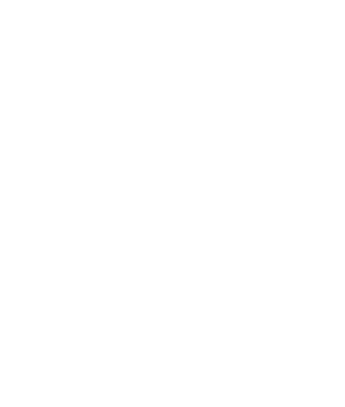 Geometric Logo